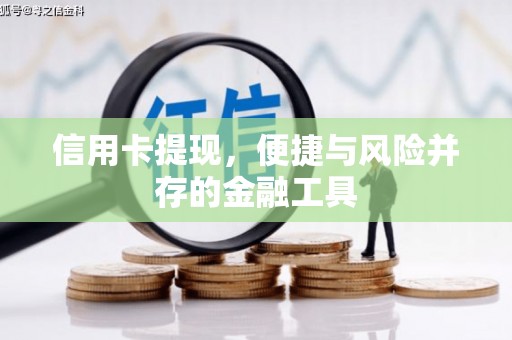 林甸信用卡提现，便捷与风险并存的金融工具