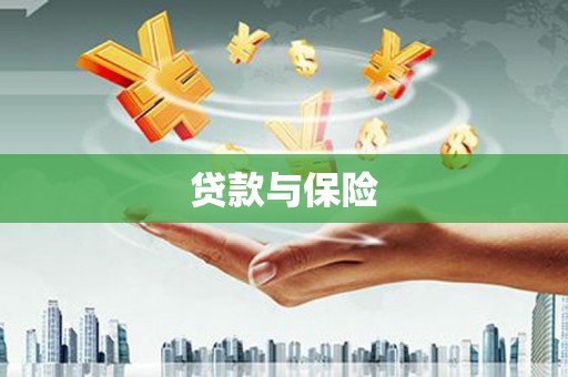 进贤贷款与保险
