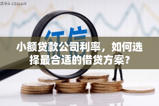 大甲小额贷款公司利率，如何选择最合适的借贷方案？