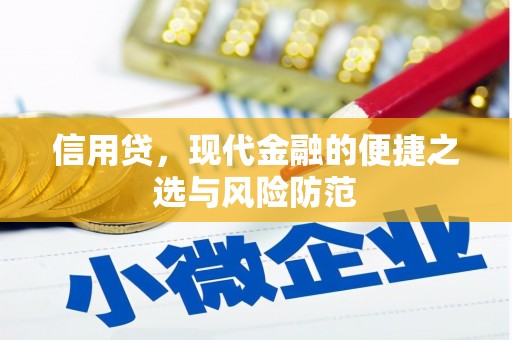 元长信用贷，现代金融的便捷之选与风险防范