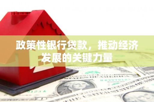 潢川政策性银行贷款，推动经济发展的关键力量