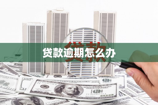 蕉城贷款逾期怎么办