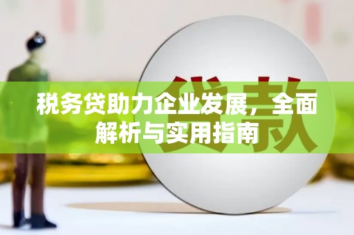 山阳税务贷助力企业发展，全面解析与实用指南