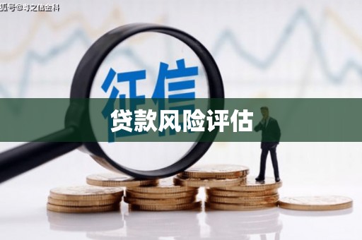 泸定贷款风险评估