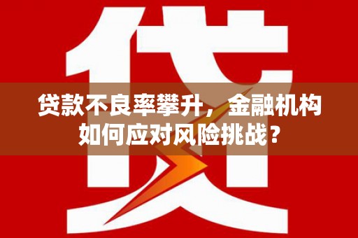 大甲贷款不良率攀升，金融机构如何应对风险挑战？