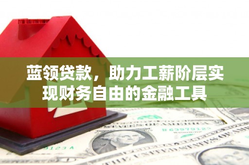 额济纳旗蓝领贷款，助力工薪阶层实现财务自由的金融工具