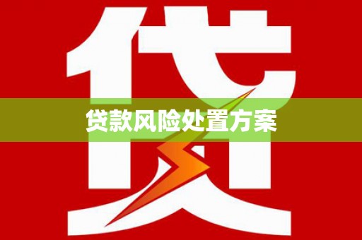 宿豫贷款风险处置方案