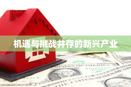 二连浩特机遇与挑战并存的新兴产业
