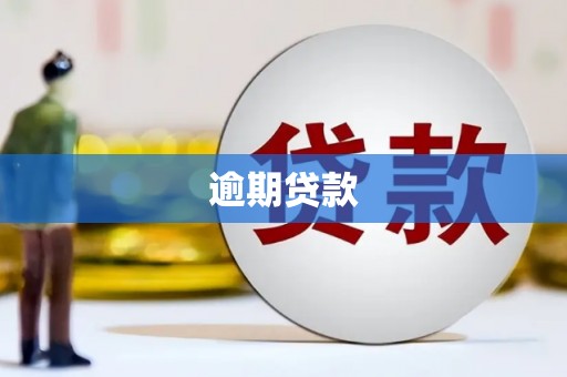 昆明逾期贷款
