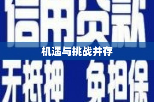 和布克赛尔机遇与挑战并存 和布克赛尔机遇与挑战并存