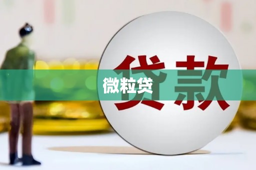 盖州微粒贷