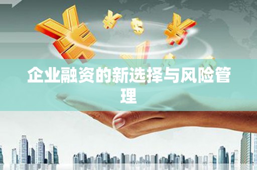 东明企业融资的新选择与风险管理