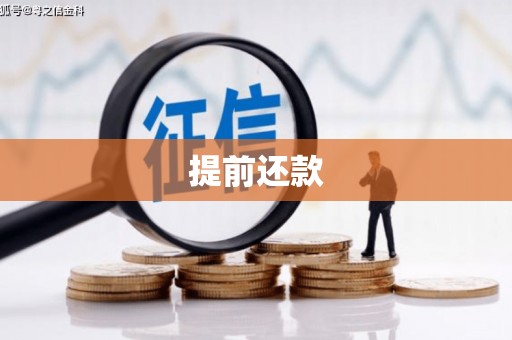 鹿泉提前还款
