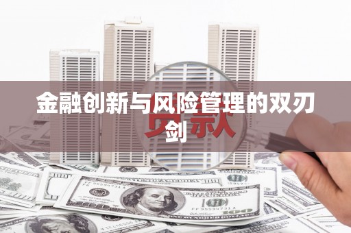 兴庆金融创新与风险管理的双刃剑